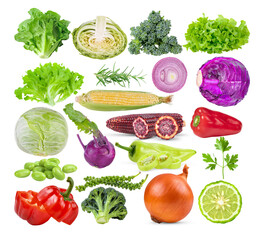 cos; cabbage; Broccoli; Lettuce; Rosemary; corn; kohlrabi; onion; pepper; Parsley; soy; peppercorn;...
