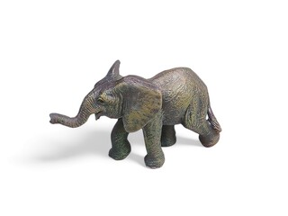 baby elephant miniature animal Isolated on white