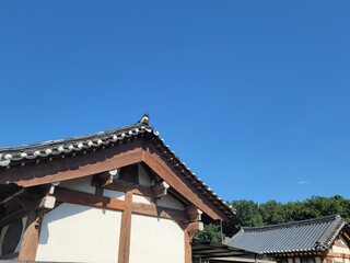 직접 촬영한 자연의 여러 경치