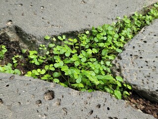 직접 촬영한 자연의 여러 경치