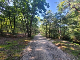 직접 촬영한 자연의 여러 경치