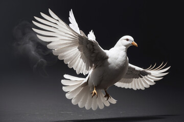 Fototapeta premium white dove in flight