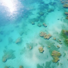 Fototapeta na wymiar top view of the drone shot coral reef on the island