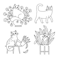 Cat and indoor flower, line drawing. Stylized character for coloring.