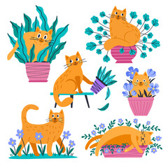 Cat character and indoor flowers. Flat style.