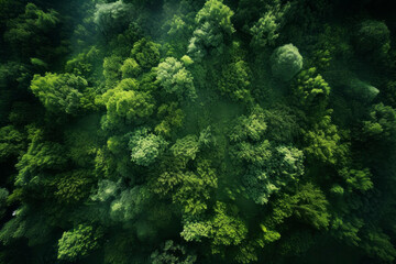 Fototapeta na wymiar Green forests top view. Generative AI