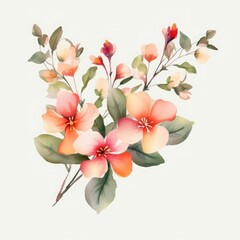 Romantic flower illustration for creative projects