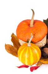 group of pumpkins of different shapes and sizes surrounded by leaves