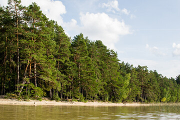 Deserted beautiful beach on the shore of the lake near the pine forest in