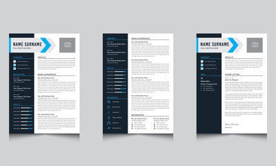 Executive Resume and Cover Letter for Business Resume Template
