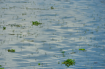 Ripples and reflections