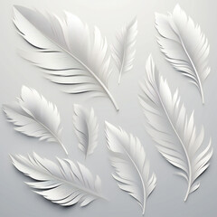 feathers pattern