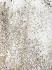 An old white concrete wall. .Can be used as wallpaper or background. .Use it as a decorative element to make the picture look old.