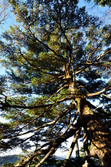 Climbing  Mount Taishaku and Tashiro, Fukushima, Japan