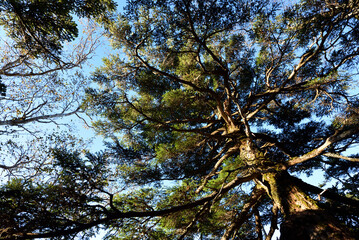 Climbing  Mount Taishaku and Tashiro, Fukushima, Japan