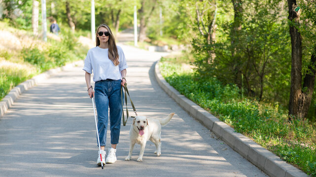 Blind woman walking with guide dog in the park. 