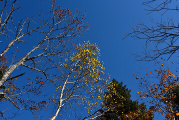 Climbing  Mount Taishaku and Tashiro, Fukushima, Japan