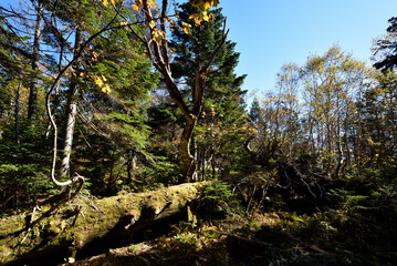 Climbing  Mount Taishaku and Tashiro, Fukushima, Japan