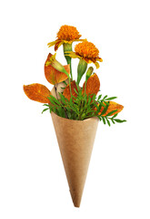 Wild marigold flowers and autumn leaves in craft paper cornet isolated on white  or transparent background. Seasonal bouquet.