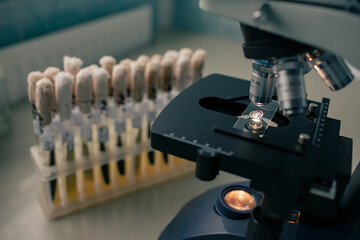 Scientist conducts chemical research on microbes or bacteria in a modern laboratory