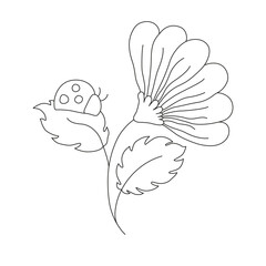 Single meadow daisy flower with a ladybug beetle on the leaf. Botanical element drawn with outline.