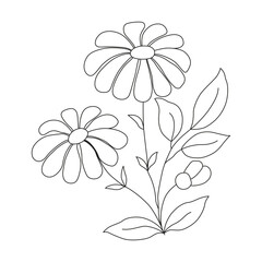 Chamomile flower. Isolated outline vector botanical element drawn in ink. Natural field plant.