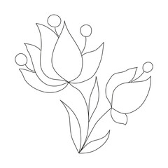 Forest bell flower, lily, bud. The botanical element is drawn with a black outline in ink by hand.
