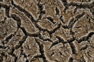 cracked soil affected by drought and salinization