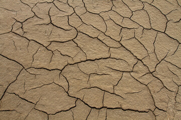 thin cracks on the flat surface of the soil