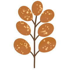 Leaf summer autumn season 