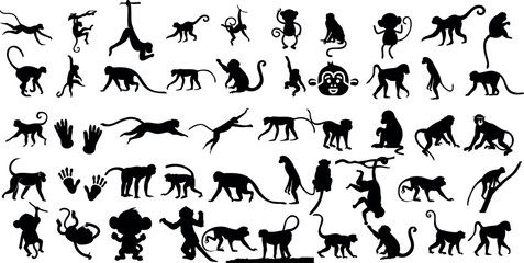  A set of monkey silhouettes on a white background. Perfect for designs about animals, nature, wildlife, primates, monkeys, apes, jungle, rainforest, conservation, and education - obrazy, fototapety, plakaty