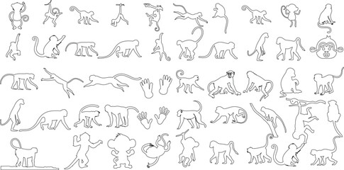 Monkey Line Drawing, Simian Sketch, Primate Artwork. This vector illustration features  simple, yet captivating line drawing of monkies. Perfect for animal-themed designs, educational materials