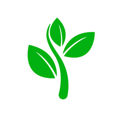 Vector simple flat green leaf design vector the concept of forest preservation by using natural products
