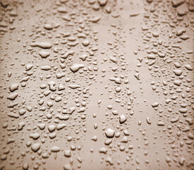 Raindrops on the hood of a car