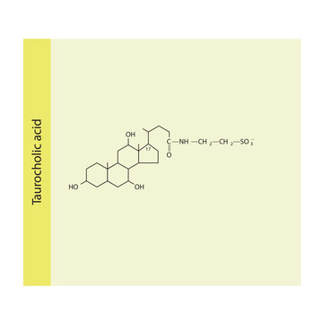 Taurocholic acid Bile Acid (involved) digestion and absorption of fats in the small intestine Molecular structure skeletal formula on yellow background.