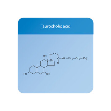 Taurocholic acid Bile Acid (involved) digestion and absorption of fats in the small intestine Molecular structure skeletal formula on blue background.