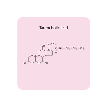 Taurocholic acid Bile Acid (involved) digestion and absorption of fats in the small intestine Molecular structure skeletal formula on pink background.