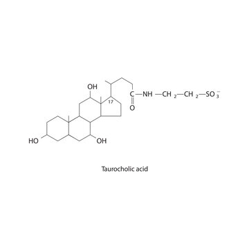 Taurocholic acid Bile Acid (involved) digestion and absorption of fats in the small intestine Molecular structure skeletal formula on white background.