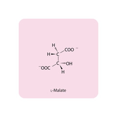 L-malate Dicarboxylic Acid - intermediate in energy metabolism Molecular structure skeletal formula on pink background.