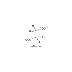 L-malate Dicarboxylic Acid - intermediate in energy metabolism Molecular structure skeletal formula on white background.