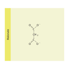 Malonate Dicarboxylic Acid competitive inhibitor of enzymes involved in various metabolic pathways Molecular structure skeletal formula on yellow background.