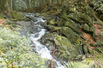 Wodospad Szepit na potoku Hylaty środku lasu w malowniczych Bieszczadach
