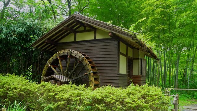 府中郷土の森公園の紫陽花と水車小屋
