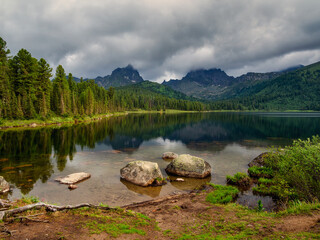 Picturesque shore of a mountain lake with cedars and tree roots under a dramatic sky. Amazing sunny forest with old cedars. Natural mountain scenic landscape. Siberia summer view.