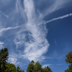CONDENSATION TRAILS - Traces in the sky after flying jet planes