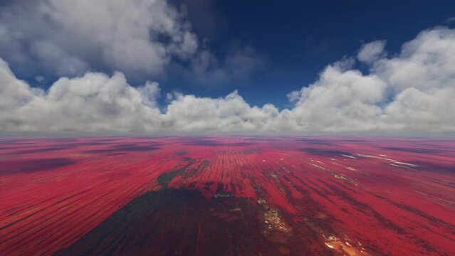 Aerial drone view of the Simpson Desert Northern Territory. Australia