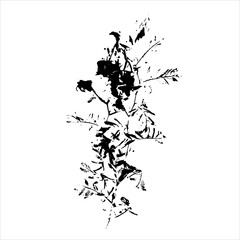 Plant imprint. Black silhouette of herbal element on white background. Vector botanical detail.