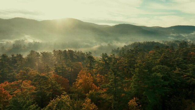 Autumn foliage aerial view in Lake George with morning fog