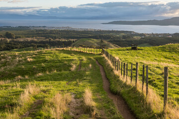 Rolling hills and grassy fields near Mount Tauhara and Lake Taupo, New Zealand.