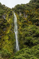 Obraz premium waterfall in Egmont National Park in New Zealand.